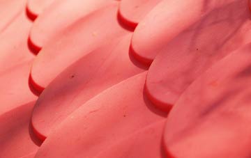 Buckland Valley plastic roof costs