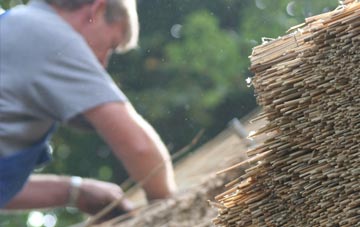 professional Buckland Valley thatchers